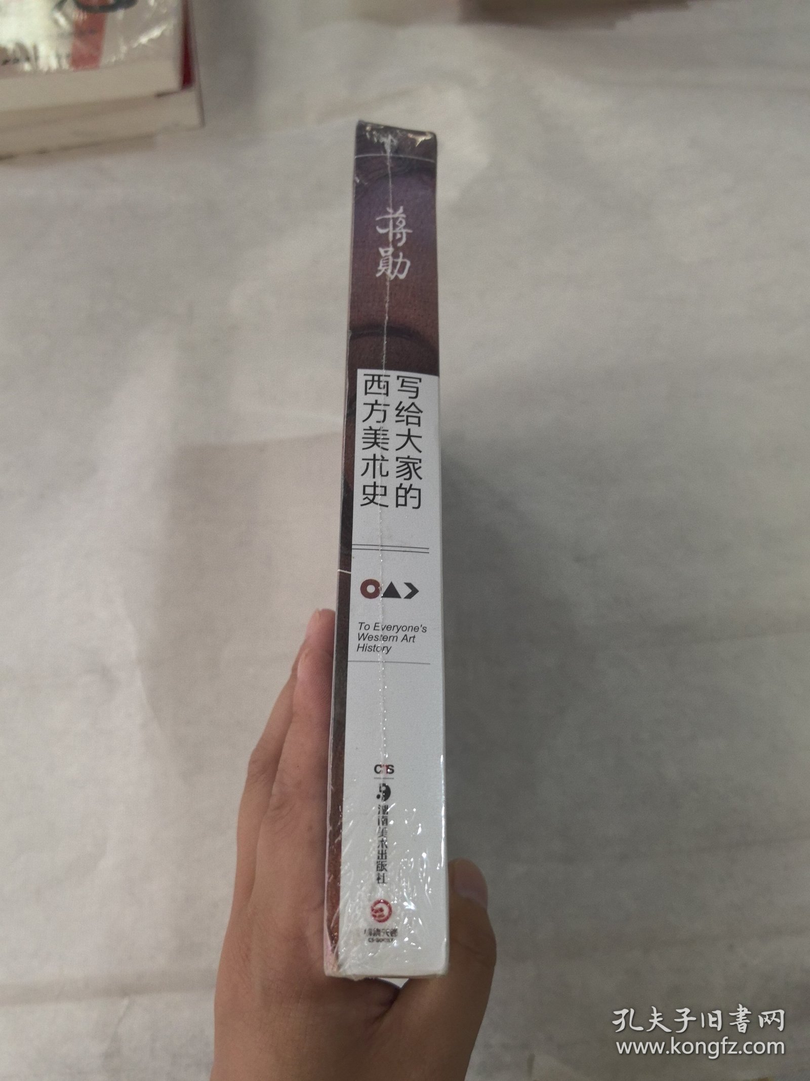 写给大家的西方美术史