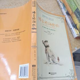 全球最经典的一百本少儿书：佛兰德斯的狗