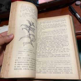福建植物志.第三卷.种子植物.TOMUS 3.SPERMAIOPHYTA
