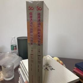 低渗透油气田勘探与开发(上下)(精)全新未拆封