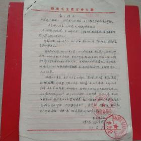 1969年6月5日，检举揭发类材料4张，河南省林县（今林州市）。（生日票据，历史档案，手写资料类收据）。（33-3）