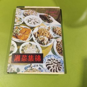 湘菜集锦（续集）