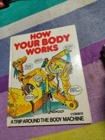 How Your Body Works（精装绘本）