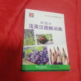 外教社法英汉图解词典/“一带一路”社会文化多语图解系列词典