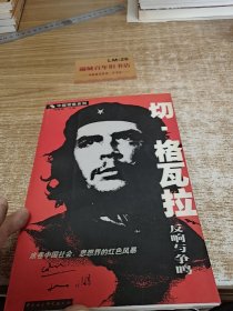 切·格瓦拉反响与争鸣e