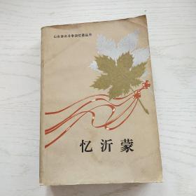 忆沂蒙