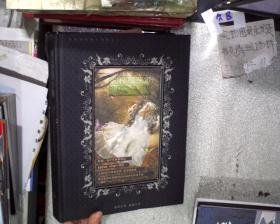 影楼魔法书-婚纱儿童模板设计素材总汇