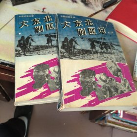 大东北剿匪记