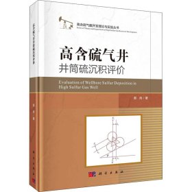 高含硫气井井筒硫沉积评价