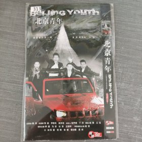 313影视光盘DVD：北京青年 二张光盘简装