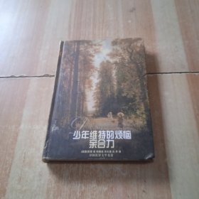 少年维特的烦恼 亲合力：译林世界文学名著 精装