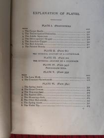 A Manual For The Study Of Insects (1895)【金陵大学馆藏。藏书票一枚】