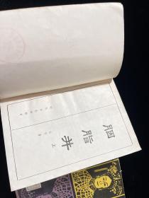 胭脂井 上下