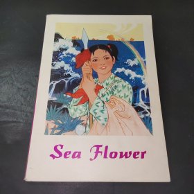 Sea Flower（**期间精美16开英文版彩色连环画《海花》/近95品/见描述）