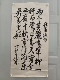 王儒林。11年10月出生于山东省莱芜市。55年9月被授予上校军衔。荣获中华人民共和国二级独立自由勋章、二级解放勋章。60年晋升为大校。88年7月被中央军委授予中国人民解放军独立功勋荣誉章。最高军职是中国人民解军解放军军事科学院战史部副军职研究员（副军级），根据军（副军）级、军种各部部长的资历，可授予少将军衔。因在88年中国人民解放军第二次授衔前业已离休，已超过了授衔时效，故无授衔。因此谓无衔将军