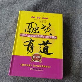 融资有道：中国中小企业融资风险案例解析与融资管理策略（精华版2）