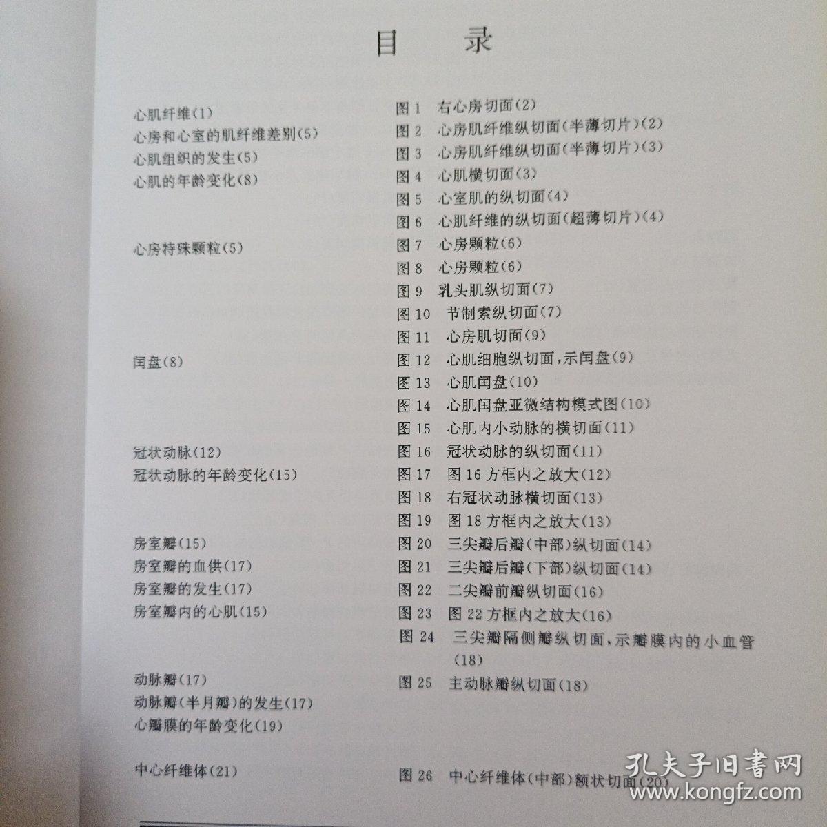 心脏组织学图谱