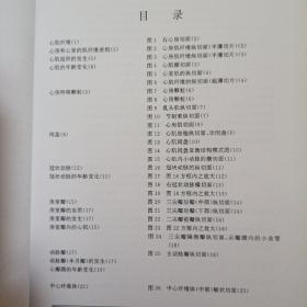 心脏组织学图谱