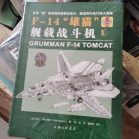 F-14“雄猫”舰载战斗机