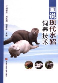 正版現(xiàn)貨新書 畫說現(xiàn)代水貂飼養(yǎng)技術(shù) 9787511669704 楊福合, 劉志剛, 劉宗岳主編