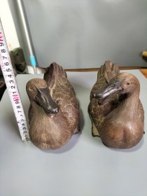 紫砂鸳鸯