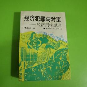 经济犯罪与对策:经济刑法原理