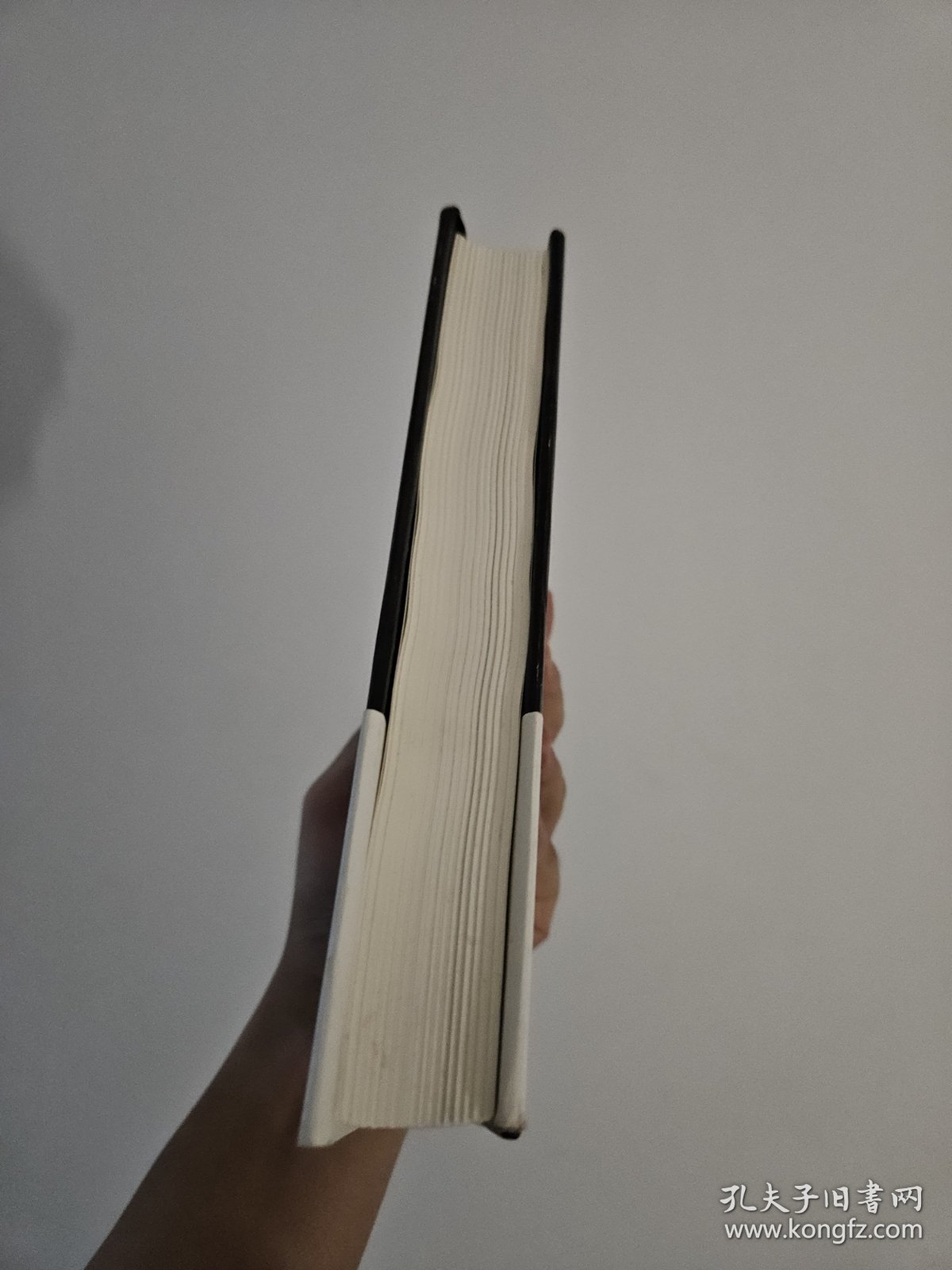 九人：美国最高法院风云（《纽约客》资深作家杰弗里.图宾盛名之作，著名法政学者何帆全新译文！）
