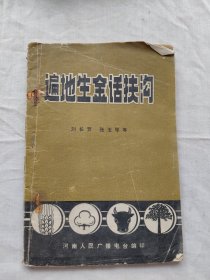 遍地生金话扶沟