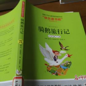 骑鹅旅行记（六年级下册名师讲解版）/“快乐读书吧”·统编小学语文教材配套阅读丛书