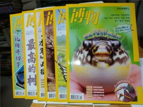 博物2023年第1/2/3/4/5/6/7/8/12期（9本合售）