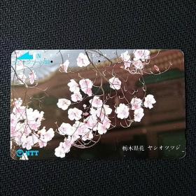 日本田村电话卡12～枥木县的花