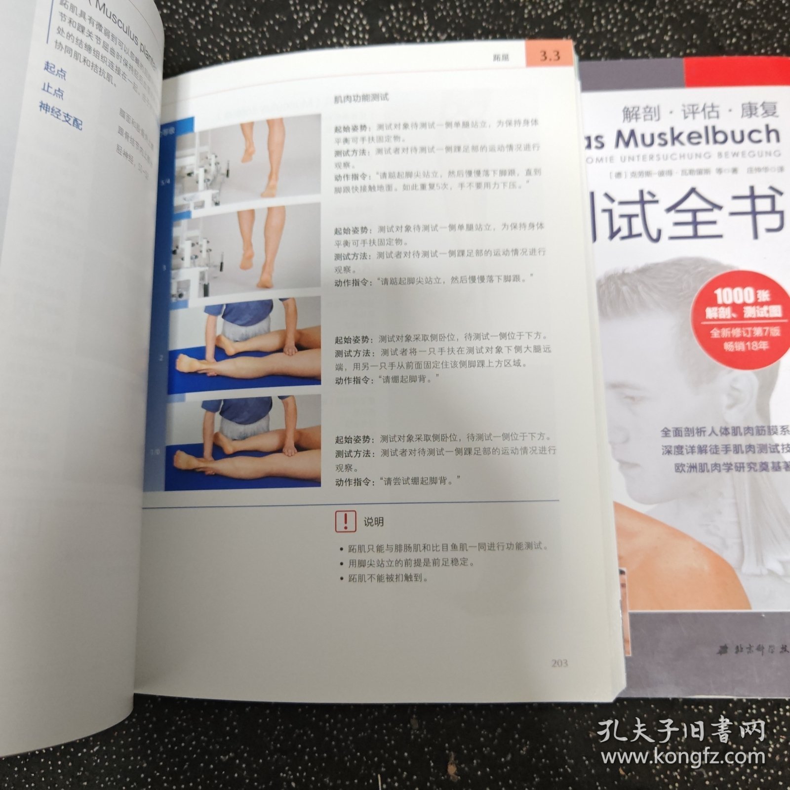 肌肉功能与测试全书
