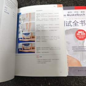 肌肉功能与测试全书