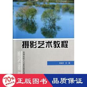 摄影艺术教程 大中专文科文学艺术 石战杰 新华正版