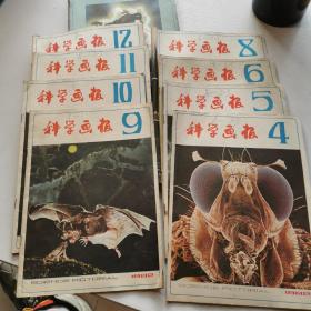 《科学画报（月刊）》1982年 4－12缺7，8期合售