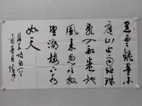 保真书画，海南省文联副主席，海南书法家协会副主席，陈洪，四尺整纸书法《苏东坡诗一首》69.5×137cm软片