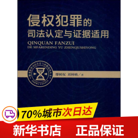 职务犯罪司法认定与证据适用丛书：侵权犯罪的司法认定与证据适用