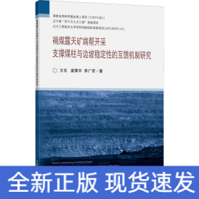 褐煤露天矿端帮开采支撑煤柱与边坡稳定性的互馈机制研究