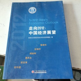 走向2012：中国经济展望(实拍图)