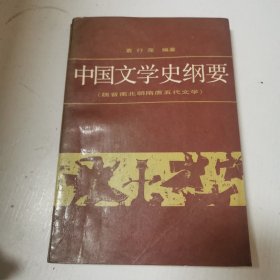 中国文学史纲要2