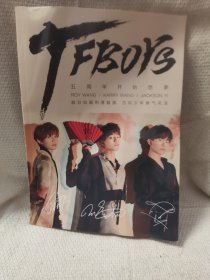 TFBOYS 五周年写真 明星周边收藏杂项