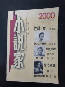 小说家 大型文学双月刊 2000年 第6期总第101期 杂志