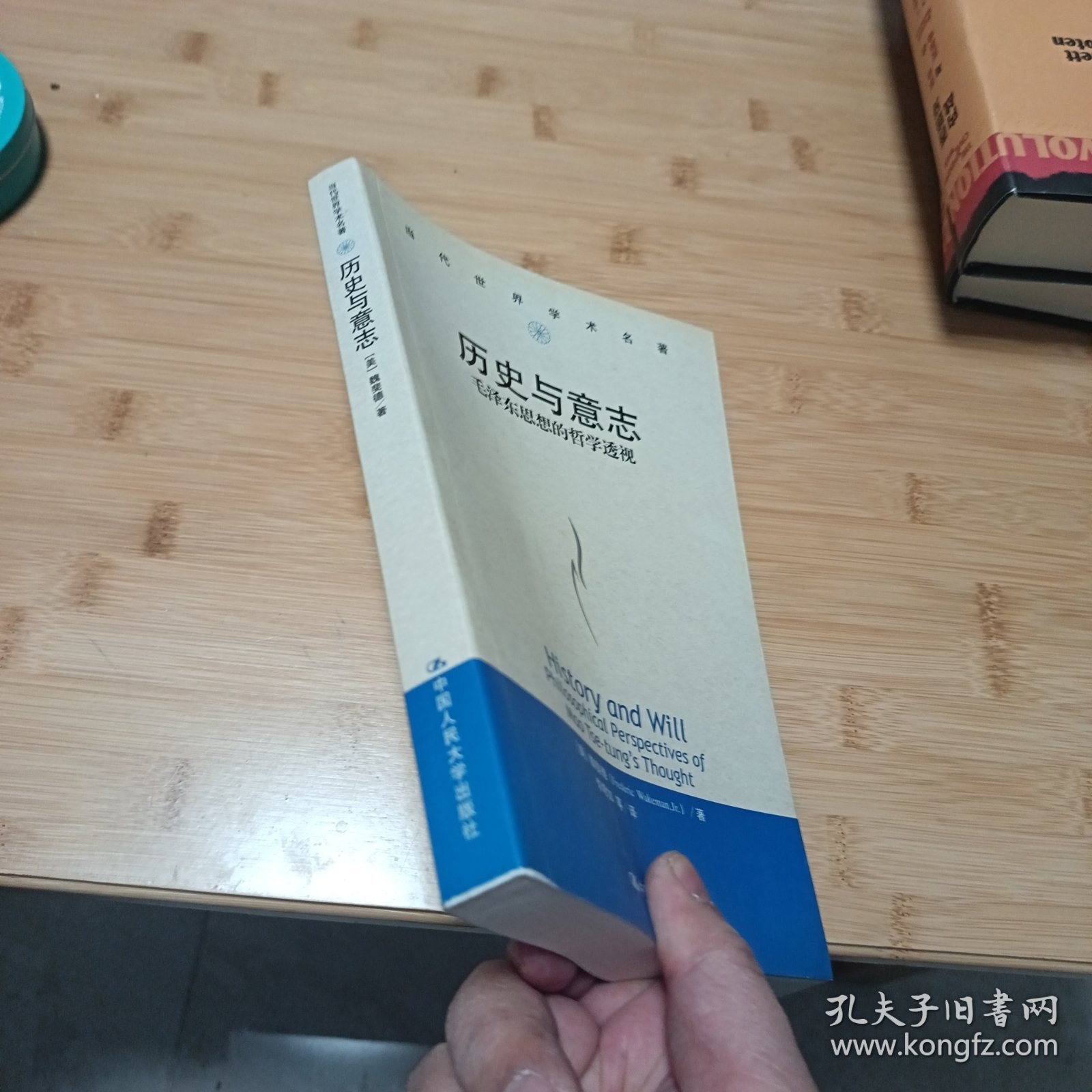 历史与意志：毛泽东思想的哲学透视