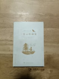 倾听大自然:一篮云杉球果