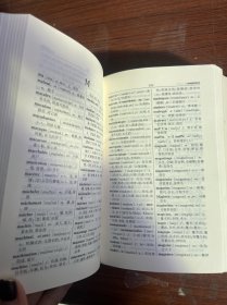 现代法汉汉法词典