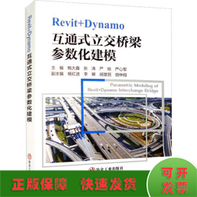 Revit+Dynamo互通式立交桥梁参数化建模