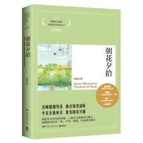 正版 朝花夕拾/语文核心素养提升阅读丛书 鲁迅 湖南文艺出版社