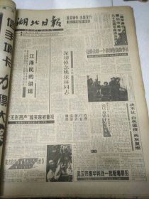 湖北日报1994年12月21日