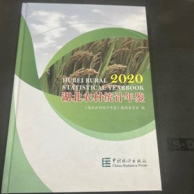 湖北农村统计年鉴(2020)(精)