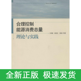 合理控制能源消费总量